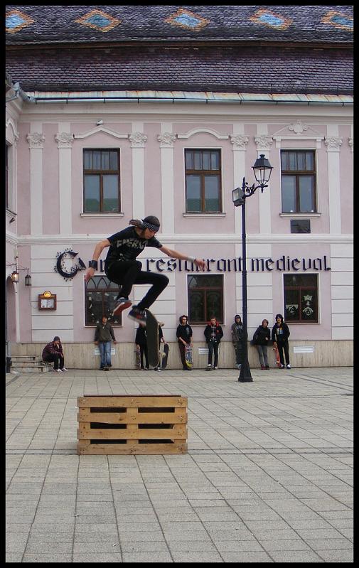Free like a bird.JPG